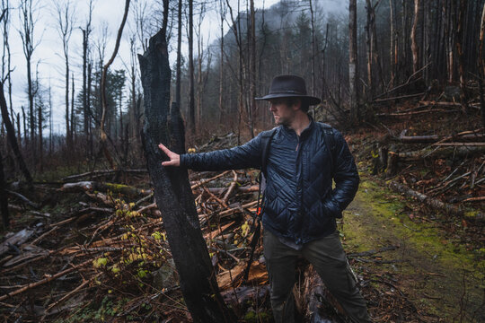 wildfire damage hike