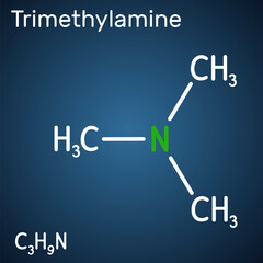 Trimethylamine, TMA molecule. It is amine, methylamine, synthesized by microbial enzymes in gut with involvement of dietary components. Structural chemical formula on the dark blue background