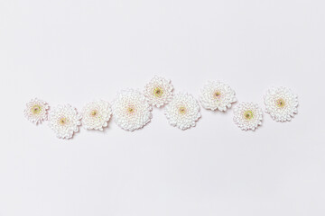 Beheaded chrysanthemum blossoms on pale pink background