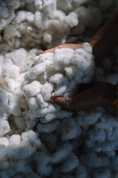 Organic cotton