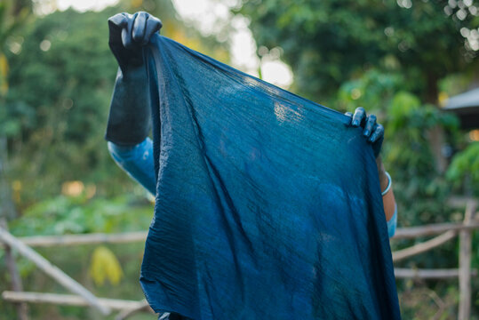 Asian woman dyeing indigo