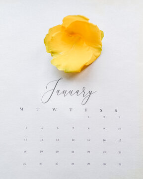 Calendar Page For January