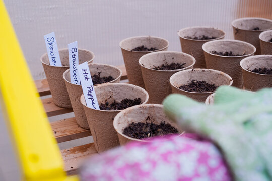Planting pot placed inside a greenhouse
