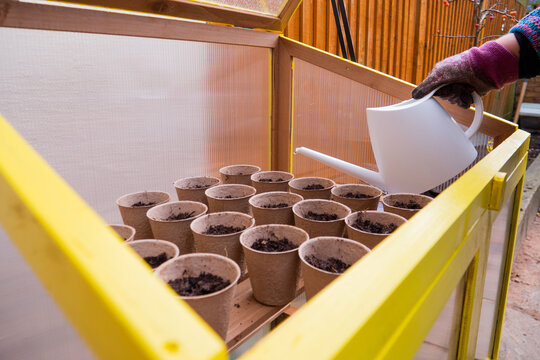 Hand watering planting pots 