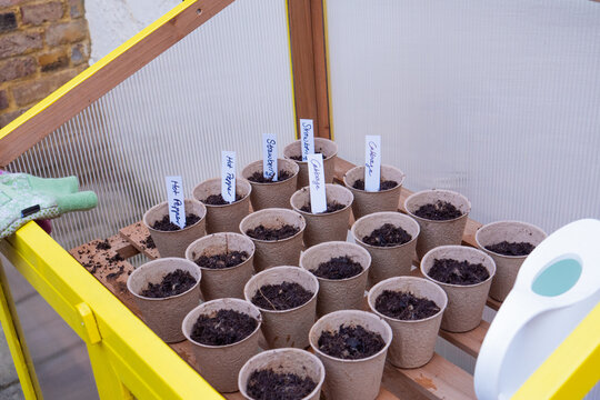 Planting pot placed inside a greenhouse