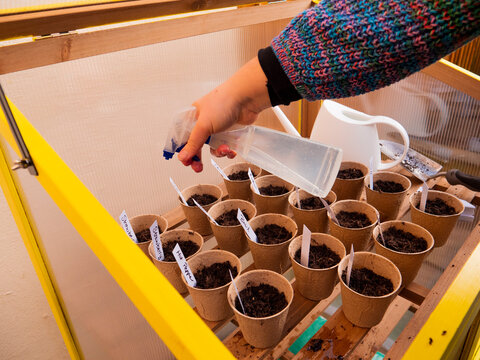 Wide shot of hand spraying freshly planted seeds