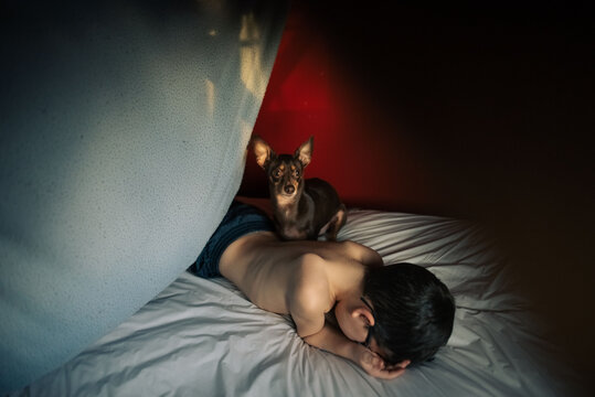 Boy pouting on bed with dog. 