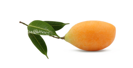 Thai Plango or  Sweet yellow marian plum (mayongchit)  with green leaves isolate on white background.