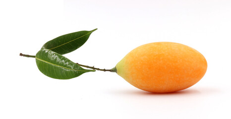 Thai Plango or  Sweet yellow marian plum (mayongchit)  with green leaves isolate on white background.