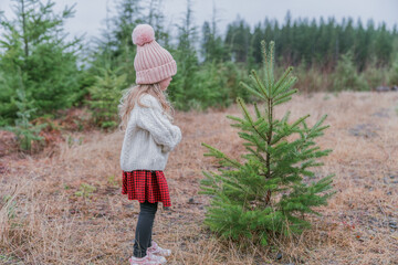 cutting down a christmas tree