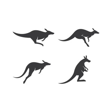 Kangaroo illustration design
