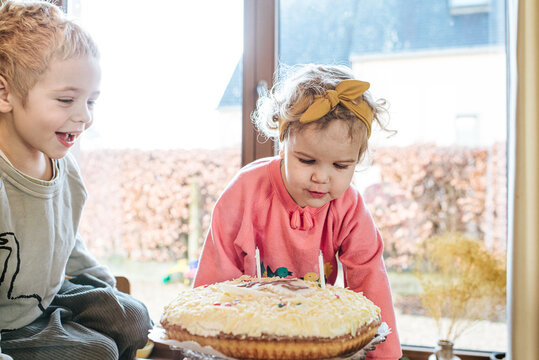Birthday party for a 2 year-old girl with cake and candles