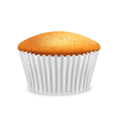Vector muffin, baked goods, sweet food on white background. Vector icon