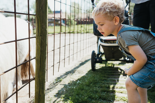 Little boy outdoors on a farm with horses