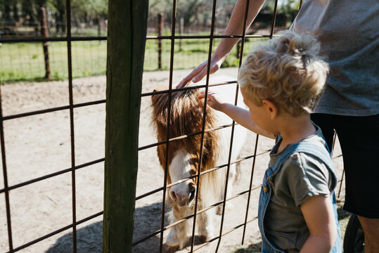 Little boy outdoors on a farm with horses