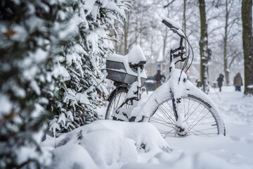 Schnee