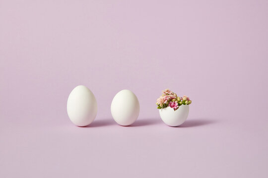 Easter eggs with blossoming flowers on purple background