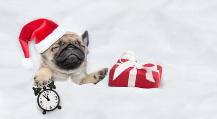 Funny Pug puppy wearing red santa hat sleeps with alarm clock and gift box under white blanket at...