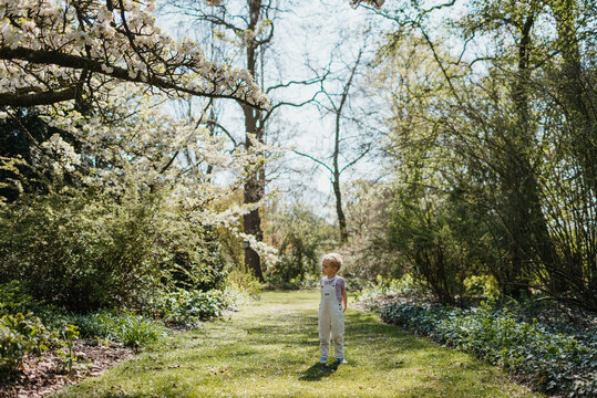 Toddler boy standing in a Park on a spring day
