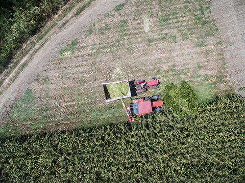 drone view: Harvesting of organic corn in small farm 