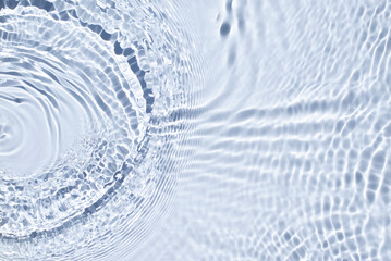 Natural sunlight and shade. Beautiful minimal style background with summer mood.