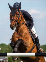 Horse Jumping, Equestrian Sports, Show Jumping event themed photo.