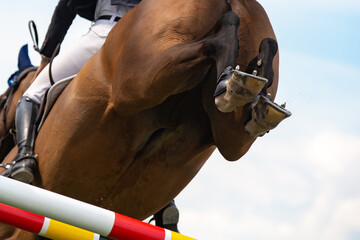 Horse Jumping, Equestrian Sports, Show Jumping event themed photo.