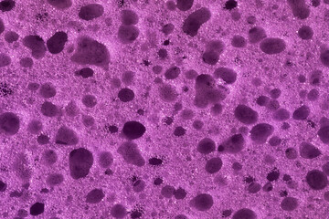 Magnified Sponge Fibers. Sponge texture. Close up