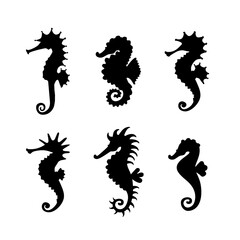 Set cute seahorses icons. Black seahorses with different silhouette on white background. For festive card, logo, children, pattern, tattoo, decorative, creative concept. Vector illustration