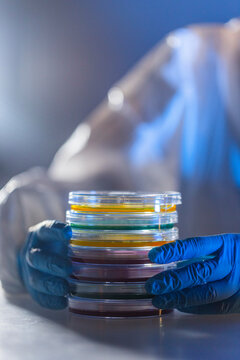 Lab researcher working with petri dishes