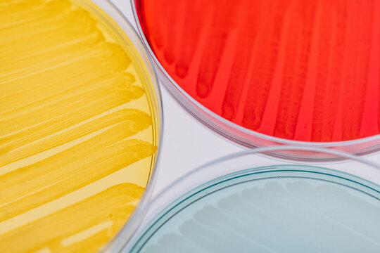 Petri dishes background