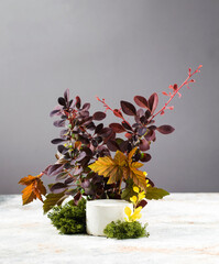 Empty concrete podium for product presentation with red leaves and moss. Autumn composition. Copy...