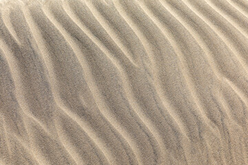 Ripples in the sand