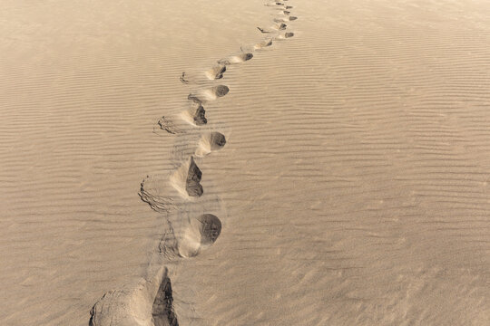 Footsteps in the sand