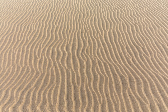 Ripples of sand
