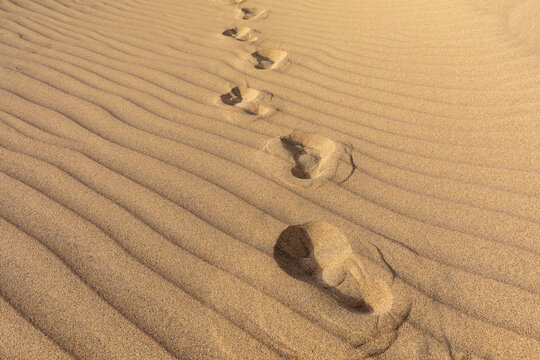 Footsteps in the sand
