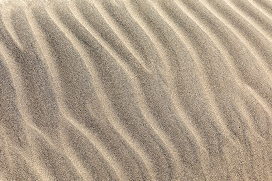 Ripples in the sand