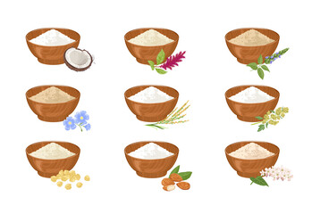 Gluten-free flour in wooden bowl. Set of different types of flour. Coconut, amaranth, chia, flaxseed, rice, quinoa, chickpea, almond, buckwheat. Organic healthy food. Vector cartoon flat illustration.