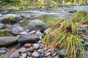 Guijarros en el rio Arenal. Avila. España. Europa.