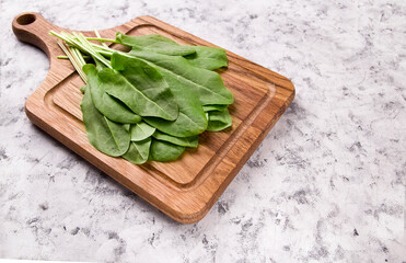 Fresh organic sorrel, on a table for spring green vegetables soup and salad.