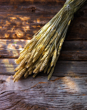 Bunch of wheat