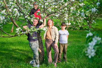 Fototapeta premium Mom, dad and children on a walk in the spring apple orchard
