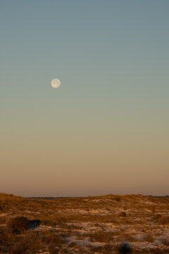 Full Moon Over Beach Dunes