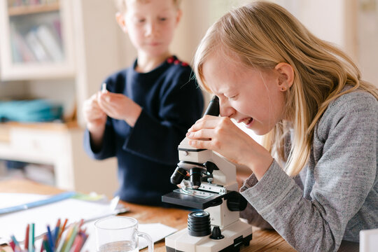 young girl and little brother  looking through microscope 