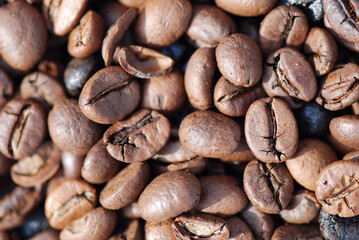 FONDO DE GRANOS TOSTADOS DE CAFÉ