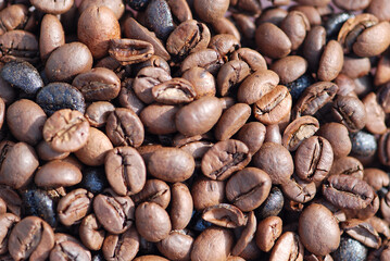 FONDO DE GRANOS TOSTADOS DE CAFÉ