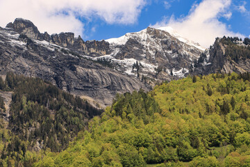 Oben Winter, unten Frühling; Blick hinauf zum Brienzer Rothorn in den Berner Voralpen