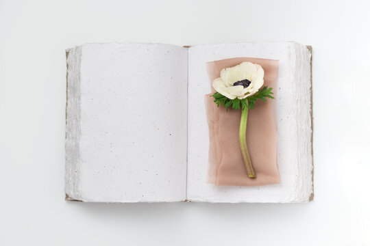 Anemone Flower on Open Book