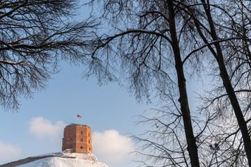 Famous Tower Of Lithuania
