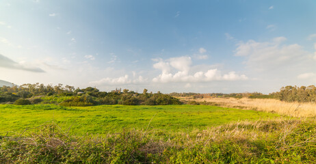Obraz premium Green field and blue sky at sunset in Sardinia